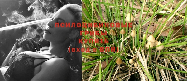 спиды Бугульма