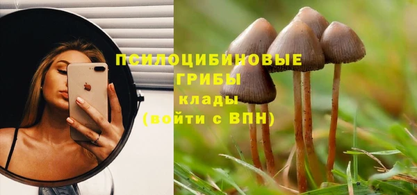 спиды Бугульма