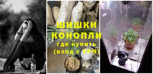 спиды Бугульма