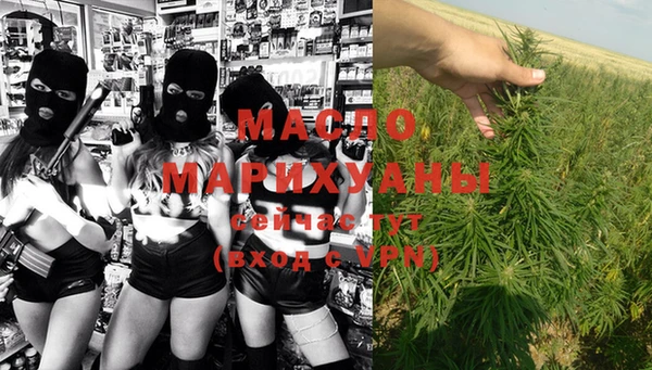 крисы Козловка